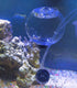 4-6-8" TankMatez Hydraulic Silent Release Bubble Fish Trap